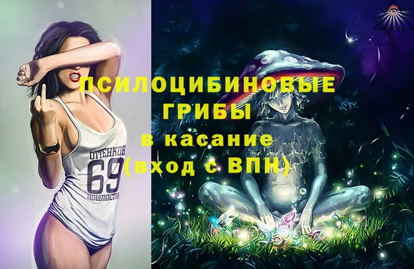 а пвп мука Алзамай