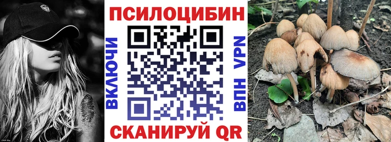 Псилоцибиновые грибы мицелий ОМГ ОМГ ссылка Каргат
